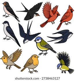 Collection of diverse vector bird illustrations, including swallows, cardinals, robins, and tits, depicted in various poses.