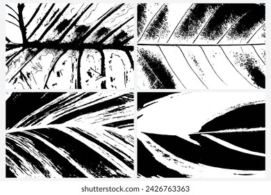 Collection of diverse vector traces depicting rainforest vegetation, including ferns and leaf patterns. Textures of various tropical plant species, in black and white. Traces of tropical plants.