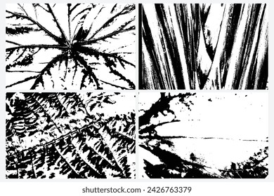 Collection of diverse vector traces depicting rainforest vegetation, including ferns and leaf patterns. Textures of various tropical plant species, in black and white. Traces of tropical plants.