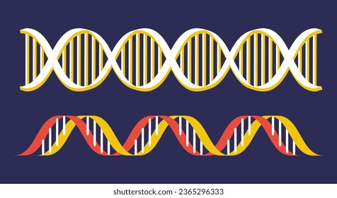 Eine Kollektion von DNA-Helix-Illustrationen einzeln auf weißem Hintergrund, mit zwei in verschiedenen Farben abgebildeten DNA-Strängen, die auf ein dunkles Thema gesetzt sind.