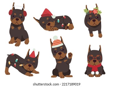 The collection of Doberman in many actions for Christmas theme. Graphic resource about bulldog for graphic, content, etc.