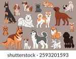 Collection of dog breeds illustration. A variety of cute dog breeds, including Akita Inu, Labrador, Pomeranian, Doberman, and more, in a modern, minimalist style. Perfect for pet-related designs