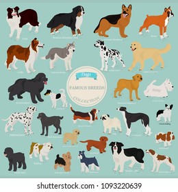 Collection of dog breeds with names on a blue background