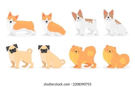 Collection Of Dog Breeds Pug, Pomeranian, French Bulldog, Welsh Corgi. Vector Isolated Animal Illustration.