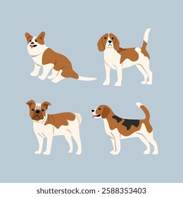 Collection of dog. Dogs illustration. Set of dogs illustration. Beagle. Bulldog. Welsh corgi. Cute dog. Animal character. 