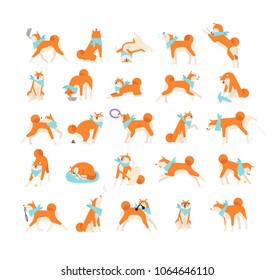 Collection of dog performing everyday activities on white background. Bundle of cute Japanese Shiba Inu pet eating, sleeping, playing, barking, howling. Flat cartoon vector illustration.