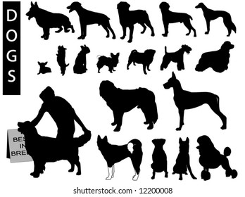 A collection of Dog silhouettes - Check out my portfolio for other collections.