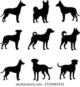 Coleção de silhuetas de cães, apresentando várias raças e retratadas em diferentes posturas