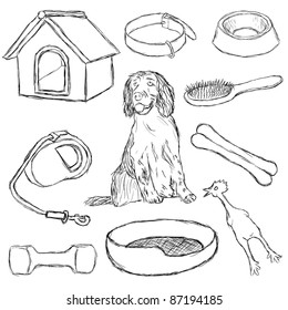 collection of dog supplies