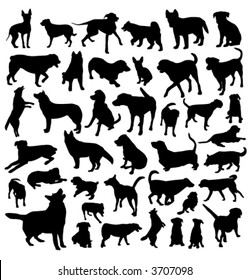 collection of dog vector