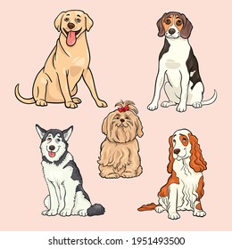 colección de ilustraciones de vectores de perros