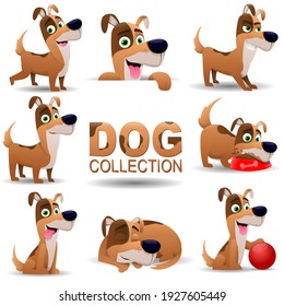 Collection of dogs in cartoon style with different characters and poses. Cute pet pet in daily routine, isolated on white background. Vector illustration
