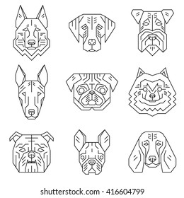 Collection of dog's heads in simple geometric style.Vector illustration include pictures of german shepherd, labrador, terrier, bull terrier, pug, spitz, english and french bulldog, beagle. Dog faces.