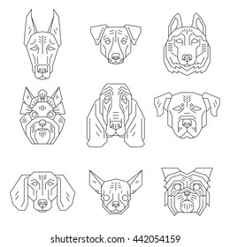 Collection of dog's heads in simple geometric style.Vector illustration of doberman, jack russel and yorkshire terrier, husky, bassethound, rottweiler, dachhound, chihuahua, belgian griffon.