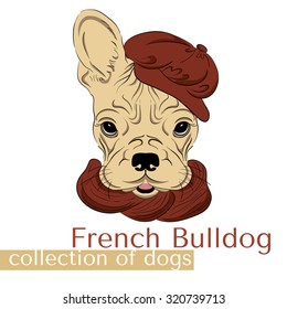 Collection of dogs in vector. French Bulldog. Boy . Vector illustration for greeting card, poster, or print on clothes.
 