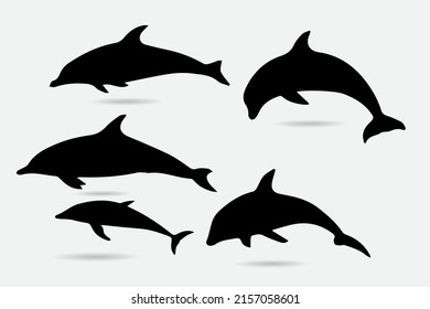 Collection of dolphin silhouette vector illustration.
