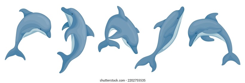 Collection of dolphins, marine mammals. Cartoon vector graphics.