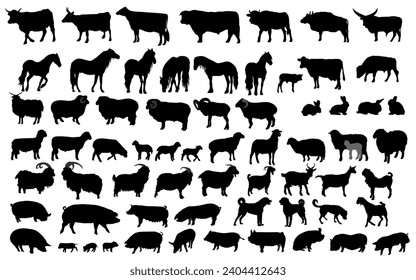 Collection of  domestic animal silhouettes. Vector illustration.
