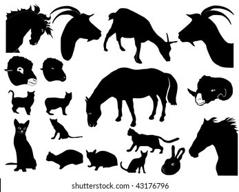 collection of domestic animals