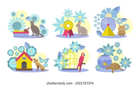 Collection of domestic animals, care accessories. Cute cat, dog, rabbit, hamster, parrot, tortoise and parrot home pet friends. Pet shop, veterinary clinic design element cartoon vector illustration