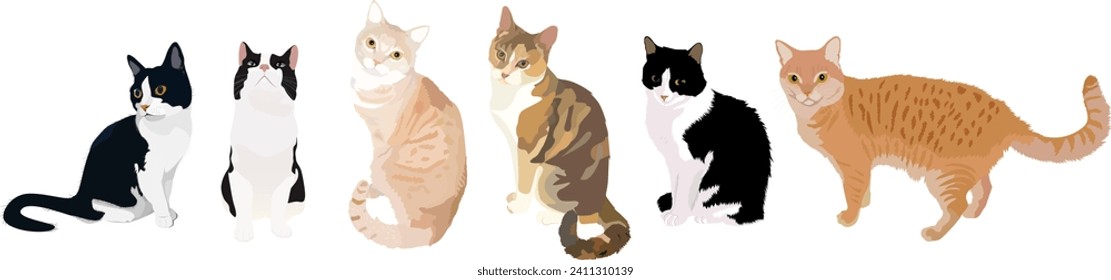 Collection of domestic cats of different breeds. Pets. Vector illustration.