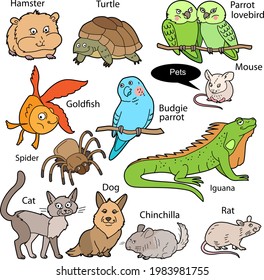 Collection with domestic cute animals living at home.  Objects isolated on white background. Linear, contour, colored  version. Illustration can be used for pictures for children