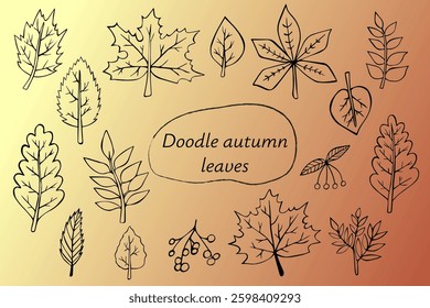 Collection of doodle autumn leaves