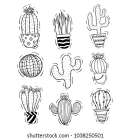 collection of doodle cactus with cactus pot 