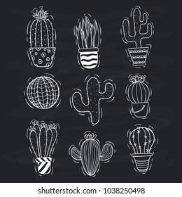 collection of doodle cactus with cactus pot on chalkboard background