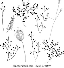 Collection of doodle drawings of wild field herbs isolated on white background.