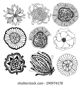 Collection doodle flowers on white background.