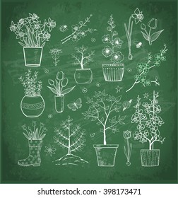 Collection of doodle sketch garden flowers on blackboard background. Vector illustration.