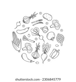 Collection of drawing vegetables in doodle style. A set of vector illustrations of the harvest corn potatoes carrots radishes beets garlic onions tomatoes, etc.