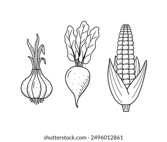 Collection of drawing vegetables in doodle style. A set of vector illustrations of the harvest corn  beet onions 