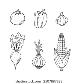 Collection of drawing vegetables in doodle style. A set of vector illustrations of the vegetable harvest