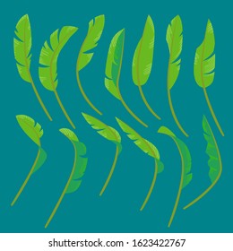 Collection of drawings of stylized green tropic leaves. Seasons - Summer or Spring