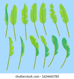 Collection of drawings of stylized green tropic leaves. Seasons - Summer or Spring