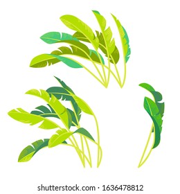Collection of drawings of stylized green tropic leaves. Seasons - Summer or Spring