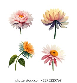Collection of drawn watercolor flowers