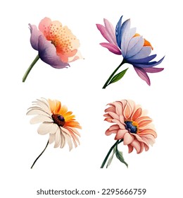 Collection of drawn watercolor flowers