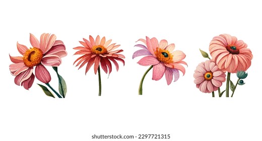 Collection of drawn watercolor flowers