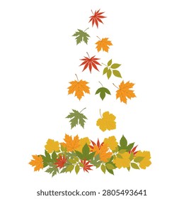 Collection of drifting autumn maple leaves. Ideal for botanical resources, seasonal decorations, educational materials, gardening, forestry, and nature projects.