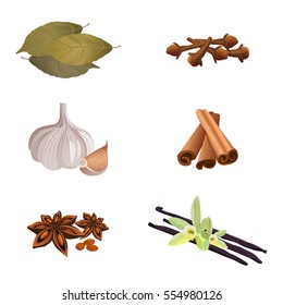 Collection of dry aromatic herbs for preparing dishes on white. Vector illustration of garlic , cinnamon sticks, dried cloves, bay leaves, anise star, vanilla. Spices for cooking and taste enhancement