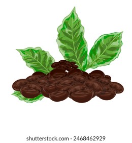 collection of dry coffee beans and green coffee leaves without background