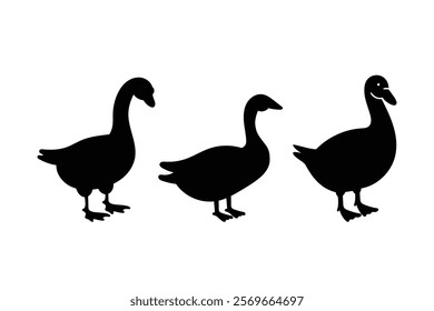 collection of duck and goose silhouette illustration