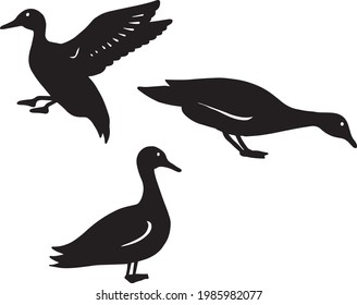 a collection of duck illustrations in various positions