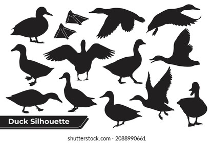 Collection of Duck Silhouette in different poses