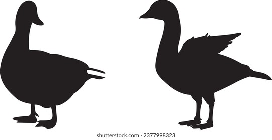 Collection of duck silhouettes,  black duck  svg