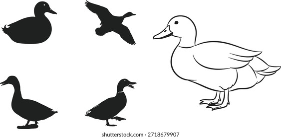 Colección de siluetas de pato e ilustraciones