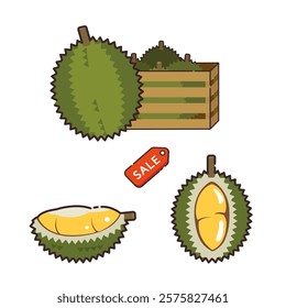 Collection durian fruit icon for decoration